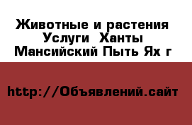 Животные и растения Услуги. Ханты-Мансийский,Пыть-Ях г.